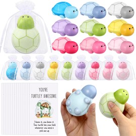 Hollowfly 36 Set Funny Turtle Stress Balls Bulk Relief Squeeze Balls Inspirational Stress Toy Employee Appreciation Gifts Back to School First Day of School Classroom Gifts for Student
