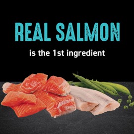 CRAVE Grain Free Adult High Protein Natural Dry Cat Food with Protein from Salmon & Ocean Fish, 2 lb. Bag