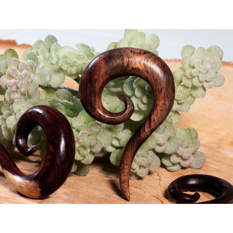 Fly Style Rosewood Spiral Ear Expander, Wood
