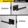 HISAFE Keyed Entry Door Lever with Lock, Heavy Duty Solid