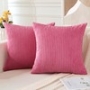 JOTOM Pack of 2 Corduroy Throw Pillow Covers Soild Decorative