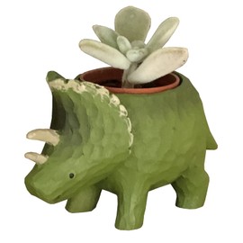 Flower Gift Company Succulent Plants Home Decor Plant Gift Dinosaur Mini Pot Mini Size Petite Gift