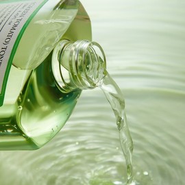 pulley Fully Green Tomato Pore-Cleansing Mildly Acidic Hydrating Skin Toner 250ml / 풀리 그린토마토 모공 약산성 수분 스킨 토너 250ml
