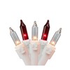 50-Count Red and Clear Mini Christmas Light Set, 10ft White