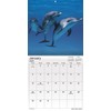 2023 Ocean Life Wall Calendar