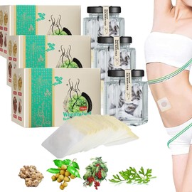 Mugwort Belly Patch, 90Pcs Navel Wormwood Sticker, Natural Wormwood Belly Sticker for Women and Men, Abdomen Belly Pads, Belly Patches for The Whole Body(3 Packs)