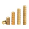 ORANXIN M2.5 x 12 mm 50 Pieces Hex Socket Grub