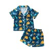 Biayxms Toddler Boy Silk Pajamas Set Button Down Dinasour Long