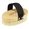 Jentschura Professional Massage Brush