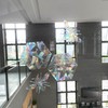 Prism Window Stickers for Bird Strikes, Anti-Collision Stickers, Prevent Birds