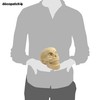 Décopatch - Ref SA184C - Skull - Papier Maché Object