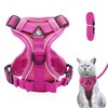 Cat Harness and Lead Set, Adjustable Kitten Harness and Lead