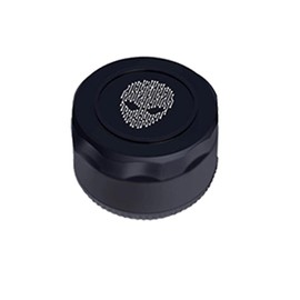 MAXWIN MoToMiRRoR Motorcycle Tire Pressure Sensor Real-Time Air Pressure Temperature Display Audio Compatible with CarPlay/AndroidAuto M2-PRO/01/02 M2-TPMS01