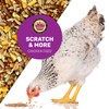 Scratch & More Chicken Feed - Enriched 5-Grain Mix with
