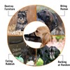 Dog Muzzle - Soft Nylon Adjustable Breathable Mesh Mask, Mouth