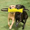 BELEFU 2 Pack Tug of War Dog Toy, Interactive Dog