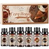 Hotel Diffuser Oils Gift Set - 6x10ML Luxury Fragrance Oil