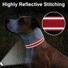 Taglory Reflective Adjustable Dog Collars for Puppy Small Medium Large