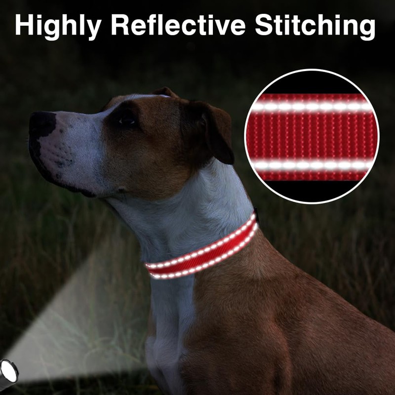Taglory Reflective Adjustable Dog Collars for Puppy Small Medium Large