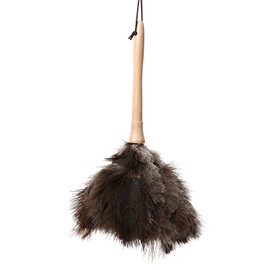 Daieeparty 16 inch Ostrich Duster Fluffy Natural Feather Dusters with Wooden Handle Cleaning Supplies for Home Office Car