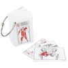 Anatomy & Kinesiology Flashcards