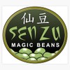 Leyland Designs Magic Beans Bumper Sticker Window Water Bottle Decal