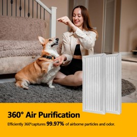 2 Pack 990051000 True HEPA Air Purifier Replacement Filter Compatible with Hamilton Beach TrueAir 04383 04384 04385 04386 Air Purifiers Pet Filter Replacement