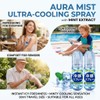 2Pcs Cooling Spray - Cooling Spray for Hot Weather