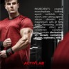 Activlab Creatine Tabs, Creatine Monohydrate 4000 mg, 300 Tablets, Pomegranate