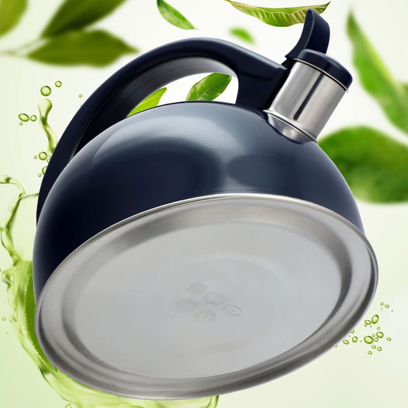 KADAX Stainless Steel Kettle, 1.7 L Kettle in Various Colours,
