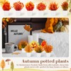 Suncalla 12 Pack Artificial Fall Potted Flowers 7.87 in Fake