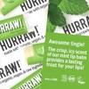 Hurraw Lip Balms 3-pack Mint, Earl Grey, Coconut by Hurraw