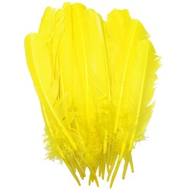 24Pcs Yellow Turkey Feathers 10~12 inch,Beautiful Long Feather for Crafts,Bulk Big Size Bilateral Natural Feather,for Wedding Dress and Party Decoration,DIY Fabricating Handicraft Article (Yellow)