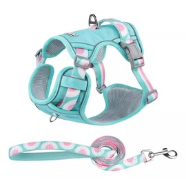 Arnés para Perro - Arnés Pechera para Perros, Antidesgarro, Ergonómico, Reflectante y Transpirable (Verde con Fruta, S)