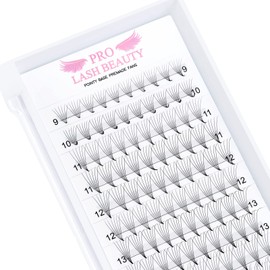 Ready-to-Use Eyelash Fans, 6D-C-0.07-8-15, Lace Base, Ready-to-Use Fan Eyelash Extensions, Pointy Base, 0.07, 0.10, Eyelash Extension, C D Eyelashes, Volume Technology, 8-15 mm (6D-C-0.07, 8-15 Mix)
