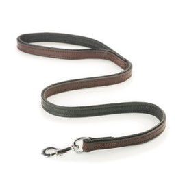Leather Dog Lead 1 m - Leather Lead for Dogs - Double-Layer Genuine Leather Lead Made of Sturdy Greased Leather and Soft, Padded Buffalo Leather with Stainless Steel Carabiner - Alan (Brown)