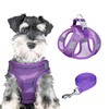 PawSailor Anti-Pull Dog Harness Lead Set, Adjustable, Step-In, Breathable, Lightweight,