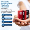 SaveMeMagnets - Biomagnetism Wellness Kit | 6 Therapeutic-Grade Magnets &