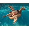Giant Inflatable 103" Golden Dragon Pool Float - Luxy Float