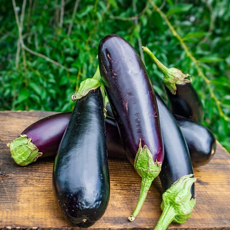 RAISE ME UP: Seeds Black Eggplant Long Pop Non GMO