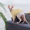 Hjyokuso Hairless Cat Sweater, Sphynx Clothes, Kitten, Breathable Sweaters For