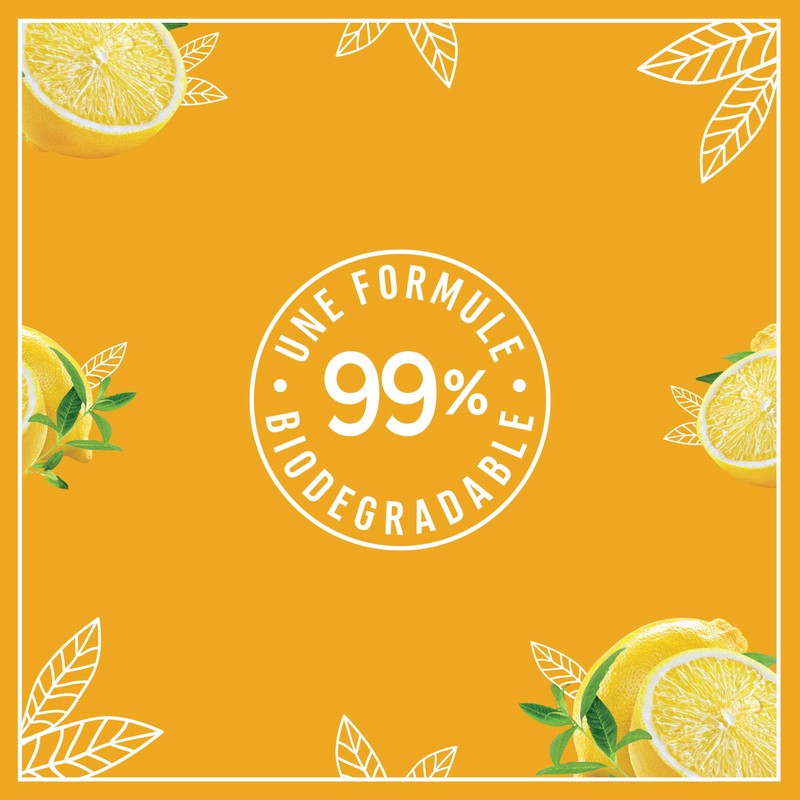 Le Petit Marseillais Organic Verbena & Lemon Shower Gel 250