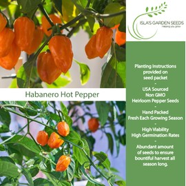 Habanero Hot Pepper Seeds (Capsicum chinense) – 25+ Heirloom Non-GMO Seeds by Isla’s Garden Seeds, Fiery Lantern-Shaped Peppers for Salsa & Hot Sauce, Productive Warm-Season, Bold Flavor for Cooking