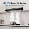 FIREGAS Black Under Cabinet Range Hood 30 Inch, Ducted/Ductless Convertible