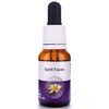 Living Essences Spirit Faces 15ml