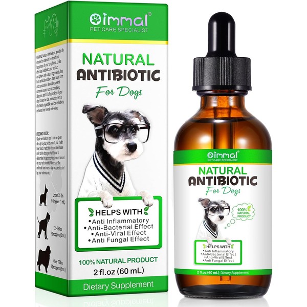 Antibiotics for Dogs 1.jpg