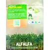 Todd’s Seeds - Alfalfa Sprouting Seeds - Easy to Grow