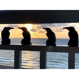 3.1" Black Onyx Raven Hand Carved Decorative Crystal Crow Figurine Natural Mineral Sculpture Collectible Stone Bird Statuette - Peru