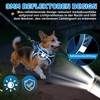 Dog Harness Small Dogs with Lead, Adjustable Step-In Puppy Harness,