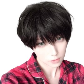 Hawkko Men's Short Wig, Full Wig, Straight Wig, Men's Dressing Wig, Black, Black Hair, Men's Wig, Harajuku, Handsome, Men's, Students, Work, Everyday, Natural, Small Face, Heat Resistant, Popular,